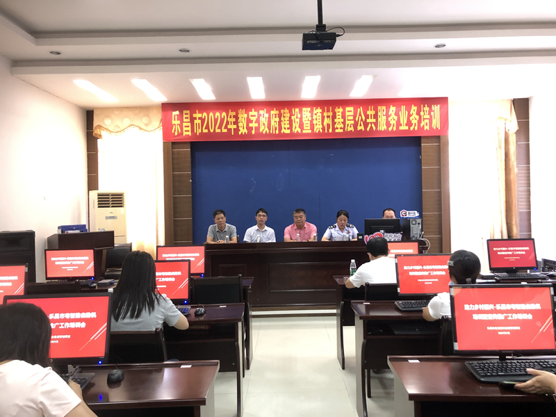 數字政府建設暨基層公共服務業(yè)務培訓1_副本.png