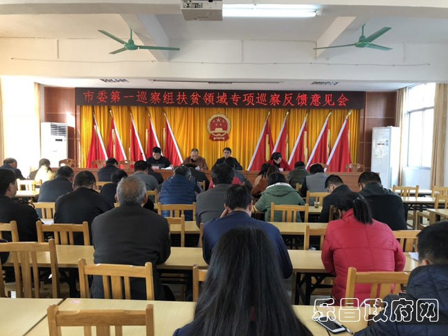 沙坪鎮(zhèn)扶貧領域巡察反饋意見會.jpg