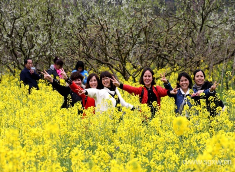 花海吸引無數(shù)游客到來。 張偉 攝.jpg